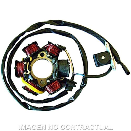 Stator SGR 6 Polos com pick up 130W Peugeot 50