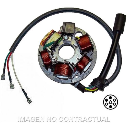 Stator SGR 6 Polos Piaggio Ape com base