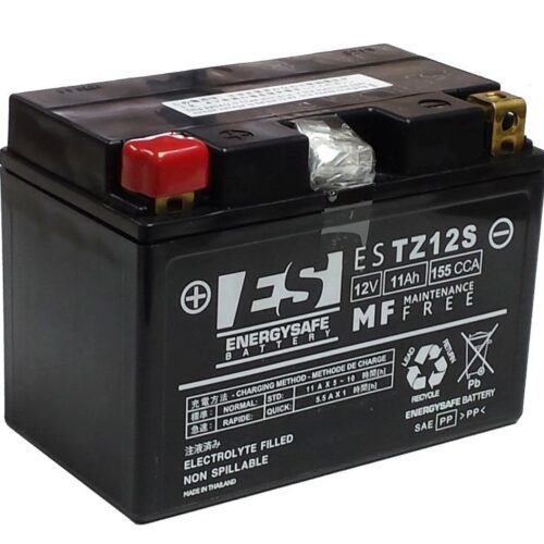 Bateria Energysafe ESTZ12-S Precargada