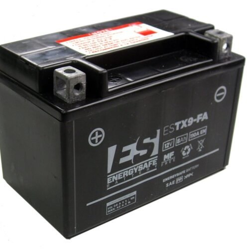 Bateria Energysafe ESTX9-B4 Precargada