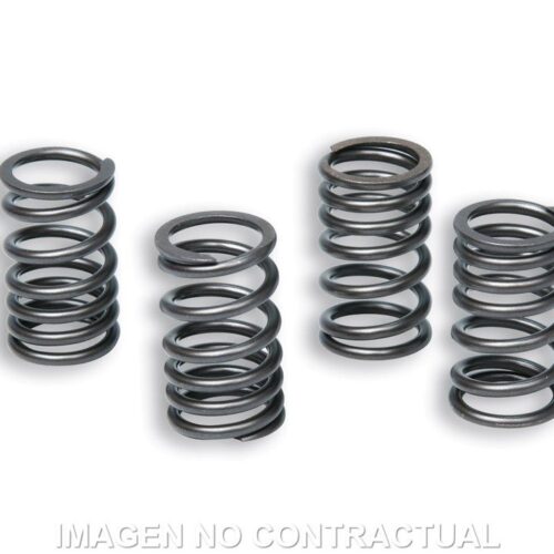 Muelles Embrague Original Motor AM6 TZR 50