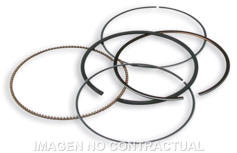 Segmentos D. 75,5 mm
