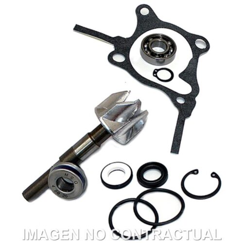 Kit reparação Bomba De Agua Honda Foresight 250