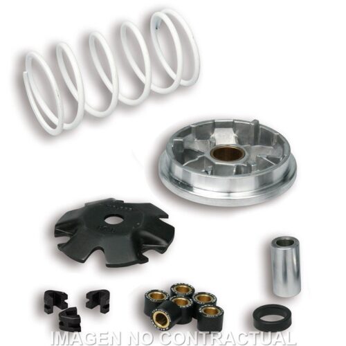 Variador Malossi Multivar Peugeot Buxy Zenith, Speedake