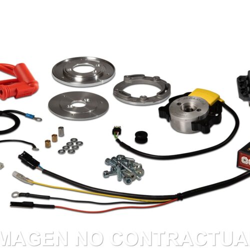 ENCENDIDO ROTOR INTERNO MALOSSI MHR TEAM II PIAGGIO