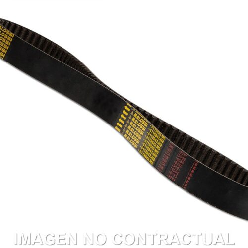 CORREA MALOSSI FINAL POWER TRASMISSION T MAX 560