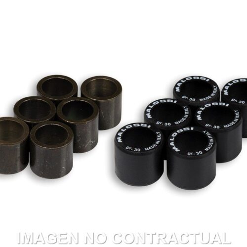 Rodillos Htroll 25X22,2 30 GR