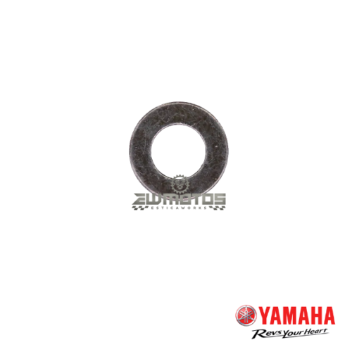 Anilha 1RW Yamaha DTR 125