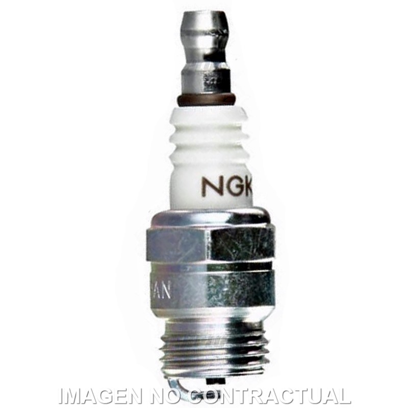 Vela NGK Standard BM6F