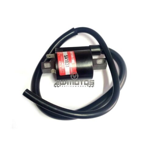 Bobine Exterior 12V Yamaha DT 50 LC-D