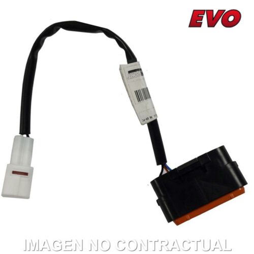 MÓDULO DE PROGRAMACIÓN RAPID BIKE EVO
