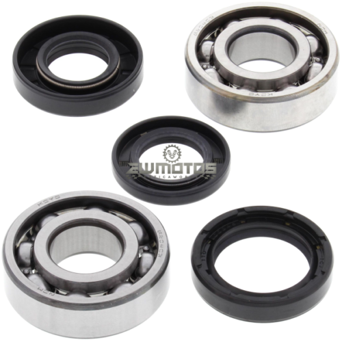 Kit Rolamentos + Vedantes Cambota DT 50 LC – All Balls