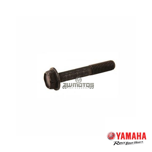 Parafuso Pinça Travão Frente/Trás Yamaha DTR 125
