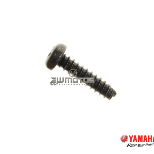 Parafuso Autoroscante Caixa Filtro Ar Yamaha DTR 125