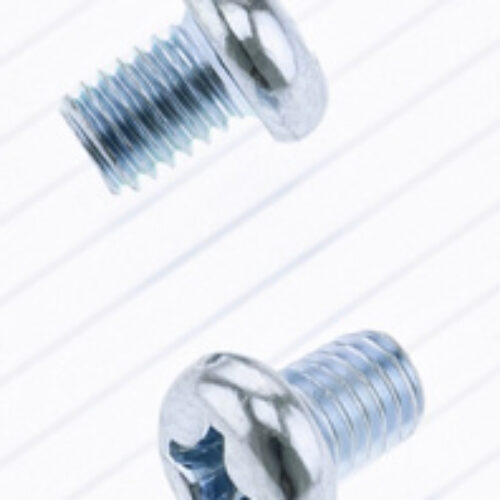 Parafuso PHILLIPS 6X8mm (10 / un)
