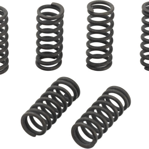 Molas de embraiagem Performance+ (6 molas)