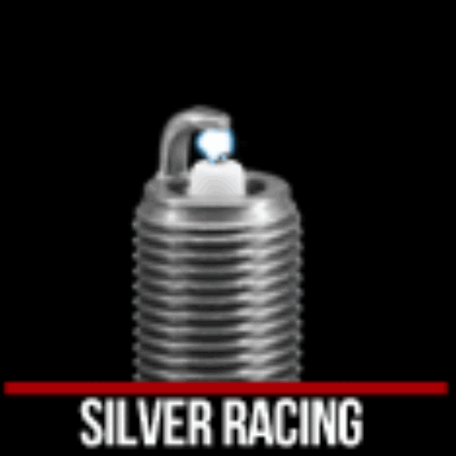Vela SILVER RACING L10S