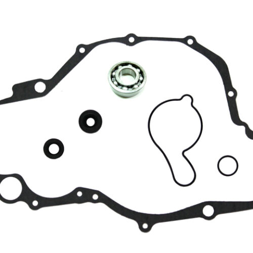 Kit bomba de agua — RP11001800