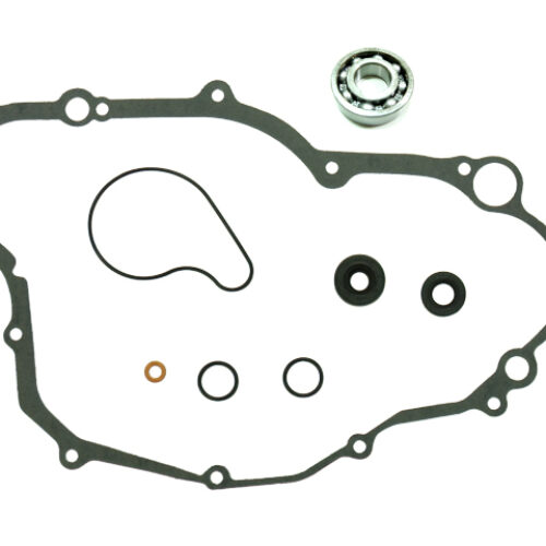 Kit bomba de agua — RP11001900E