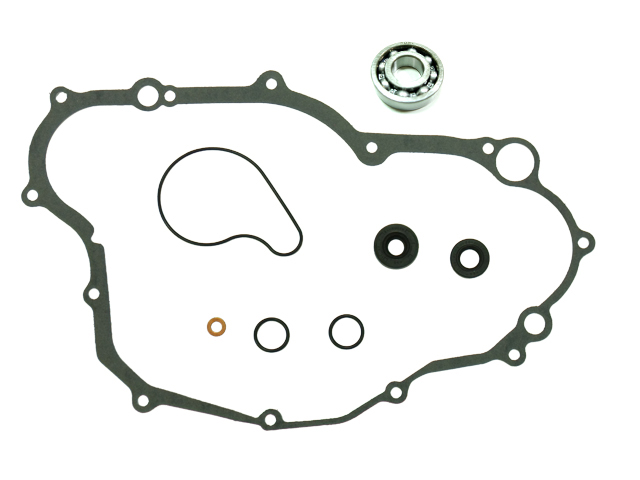 Kit bomba de agua — RP11001900E