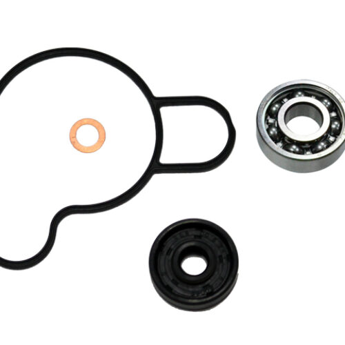 Kit bomba de agua — RP11002100