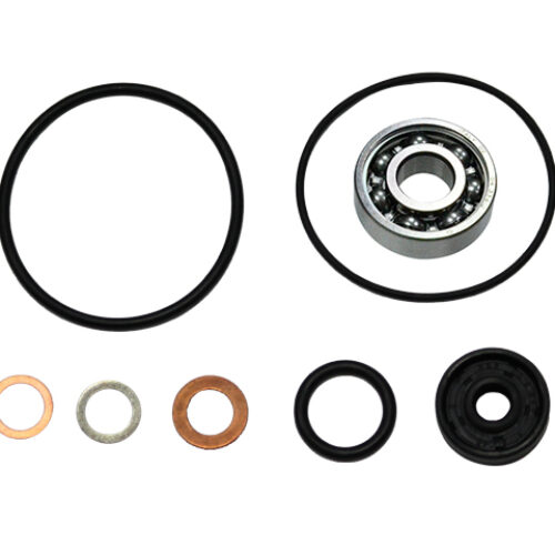 Kit bomba de agua — RP11002300