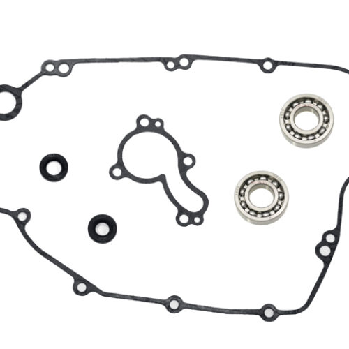 Kit bomba de agua — RP11002600E