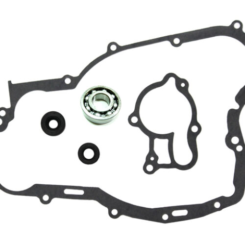Kit bomba de agua — RP11002700
