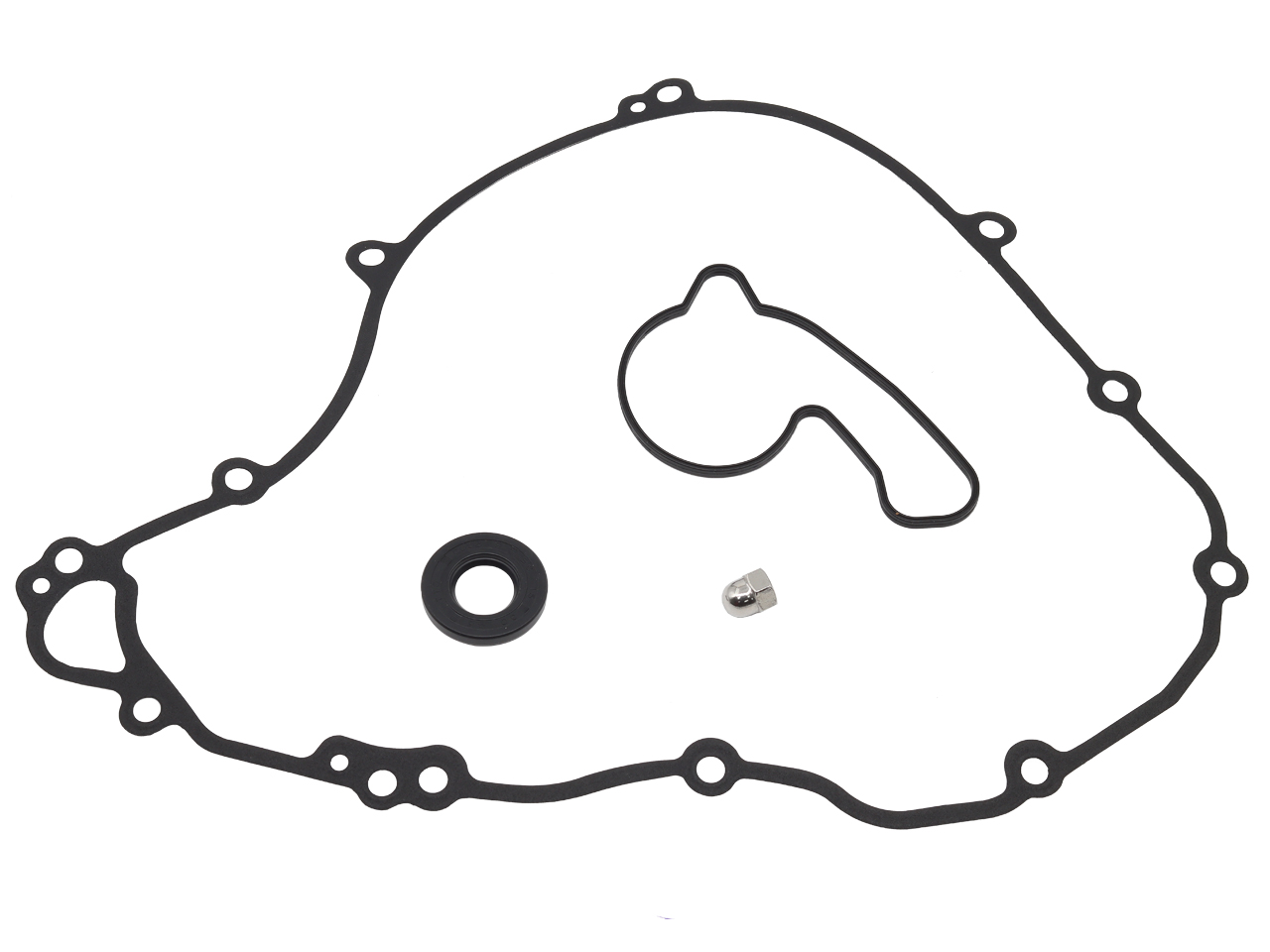Kit bomba de agua — RP11005800