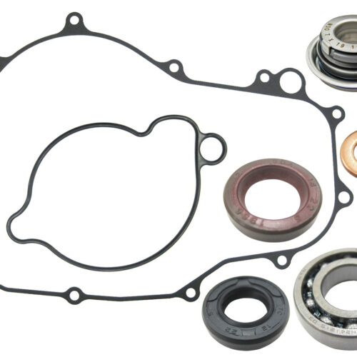 Kit bomba de agua — RP11005900