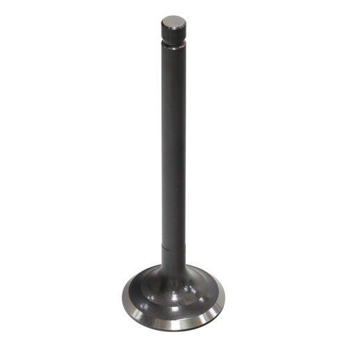 Valvula de Motor Aço (Escape) — RP17301900