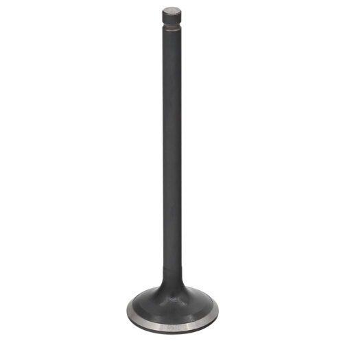 Valvula de Motor Aço (Escape) — RP17302500