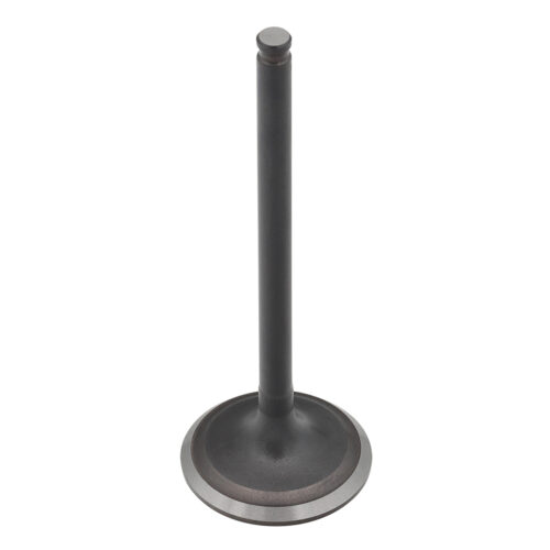 Valvula de Motor Aço (Escape) — RP17302700