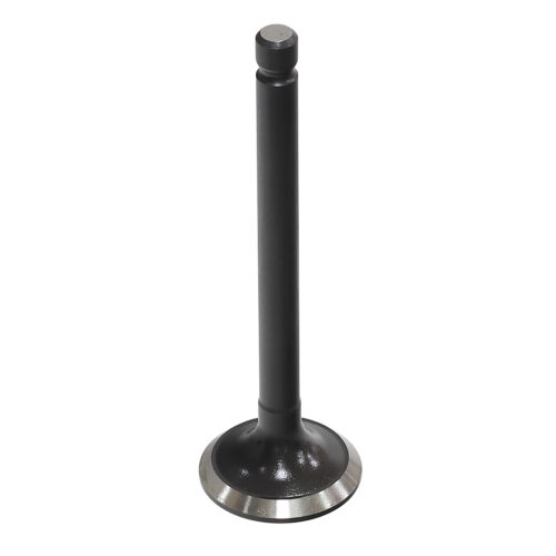 Valvula de Motor Aço (Escape) — RP17304000