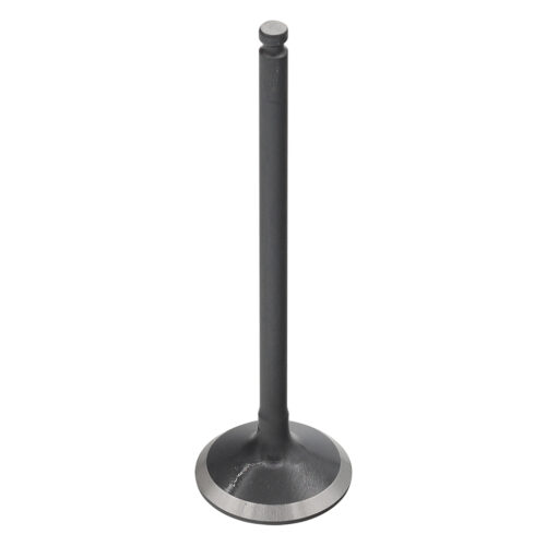 Valvula de Motor Aço (Admissão Central) — RP17307400