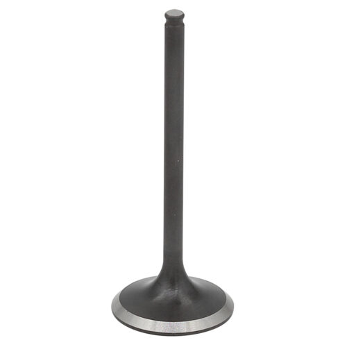Valvula de Motor Aço (Escape) — RP17310400