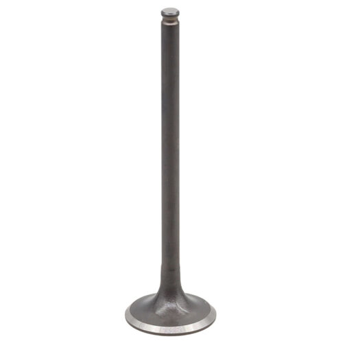 Valvula de Motor Aço (Escape) — RP17311800