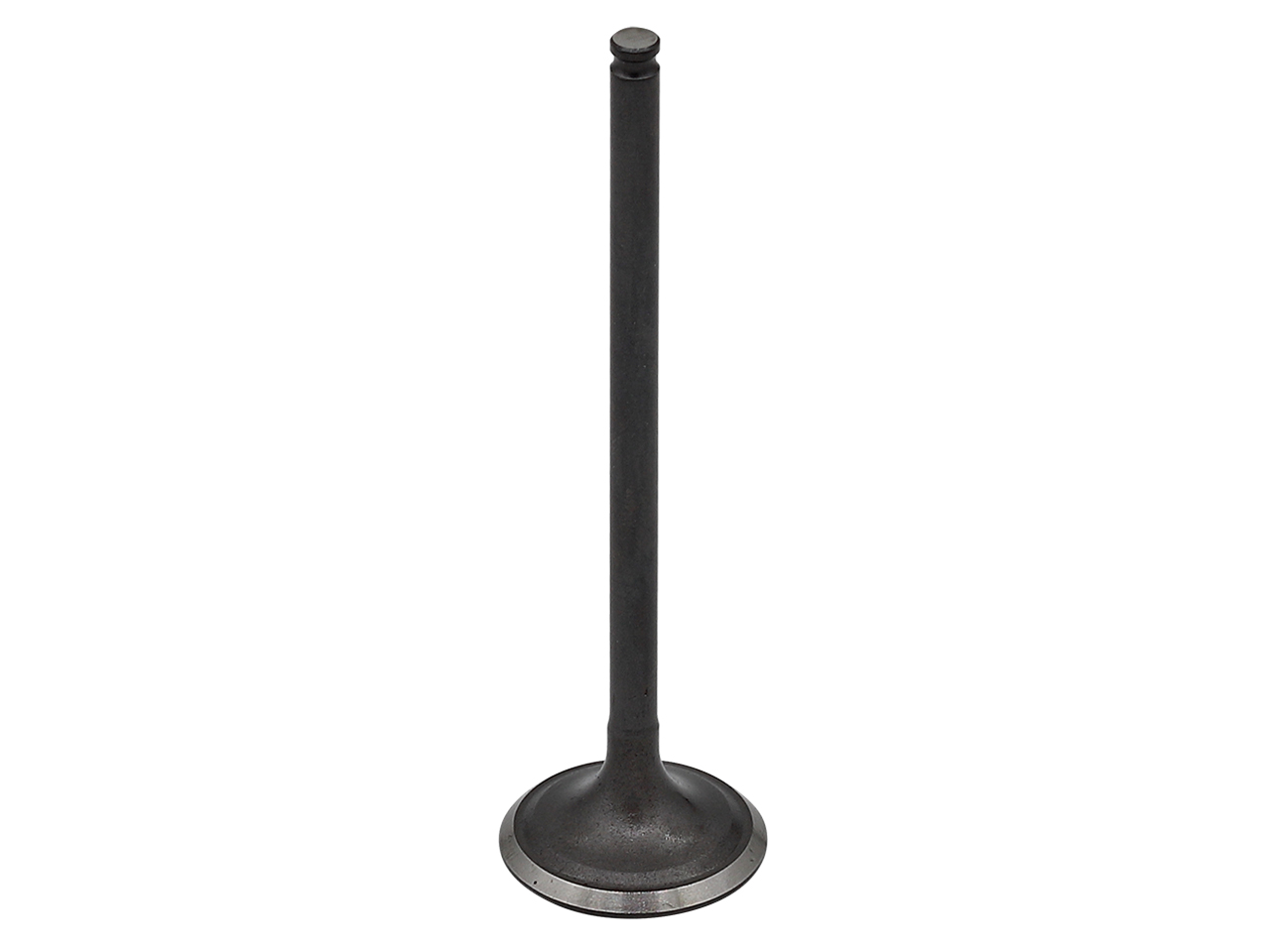 Valvula de Motor Aço (Escape) — RP17312000