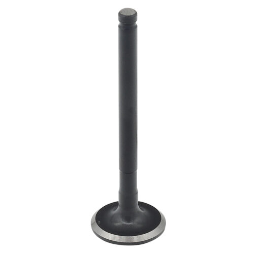 Valvula de Motor Aço (Escape) — RP17319300