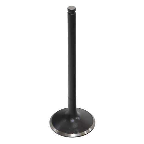 Valvula de Motor Aço (Escape) — RP17319700