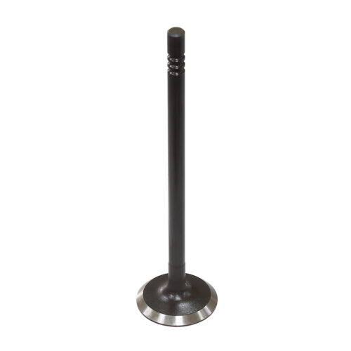 Valvula de Motor Aço (Escape) — RP17319800