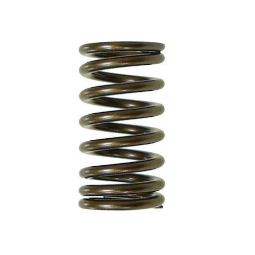 Mola de Valvula de motor — RP17402600