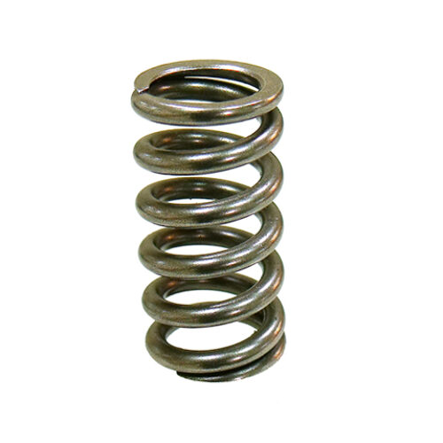 Mola de Valvula de motor — RP17402900