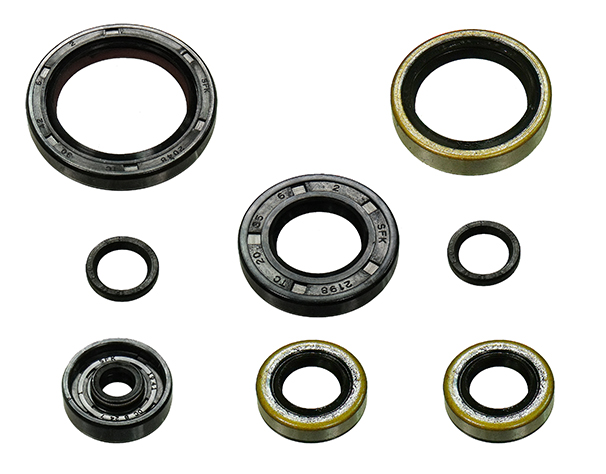 Kit de vedantes de motor — RP29700100