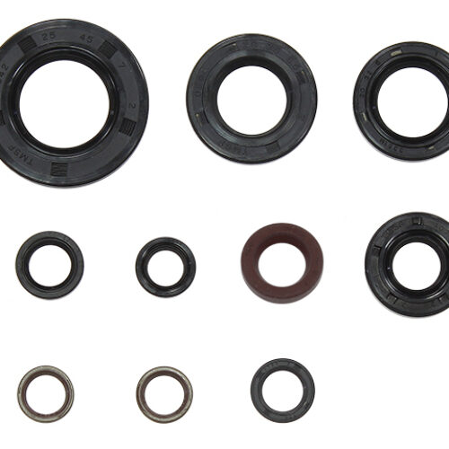 Kit de vedantes de motor — RP29700400
