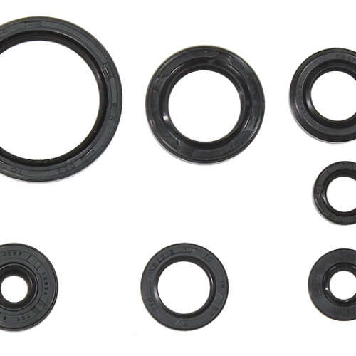 Kit de vedantes de motor
