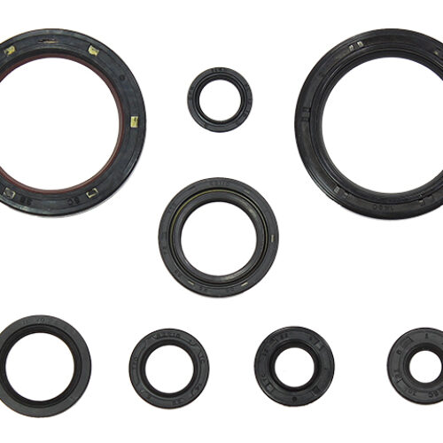 Kit de vedantes de motor — RP29700600