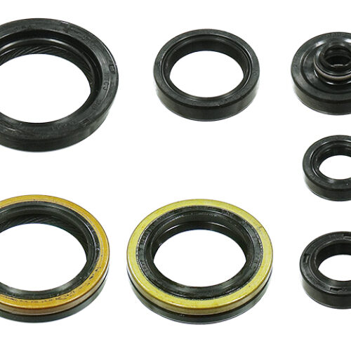 Kit de vedantes de motor — RP29700800E