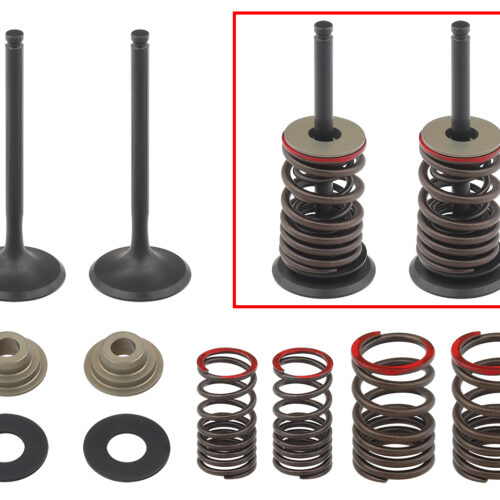 Kit de valvulas de escape completo — Kawasaki KX 450F