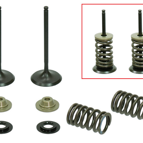 Kit de valvulas de admissão completo — Kawasaki KX 250F